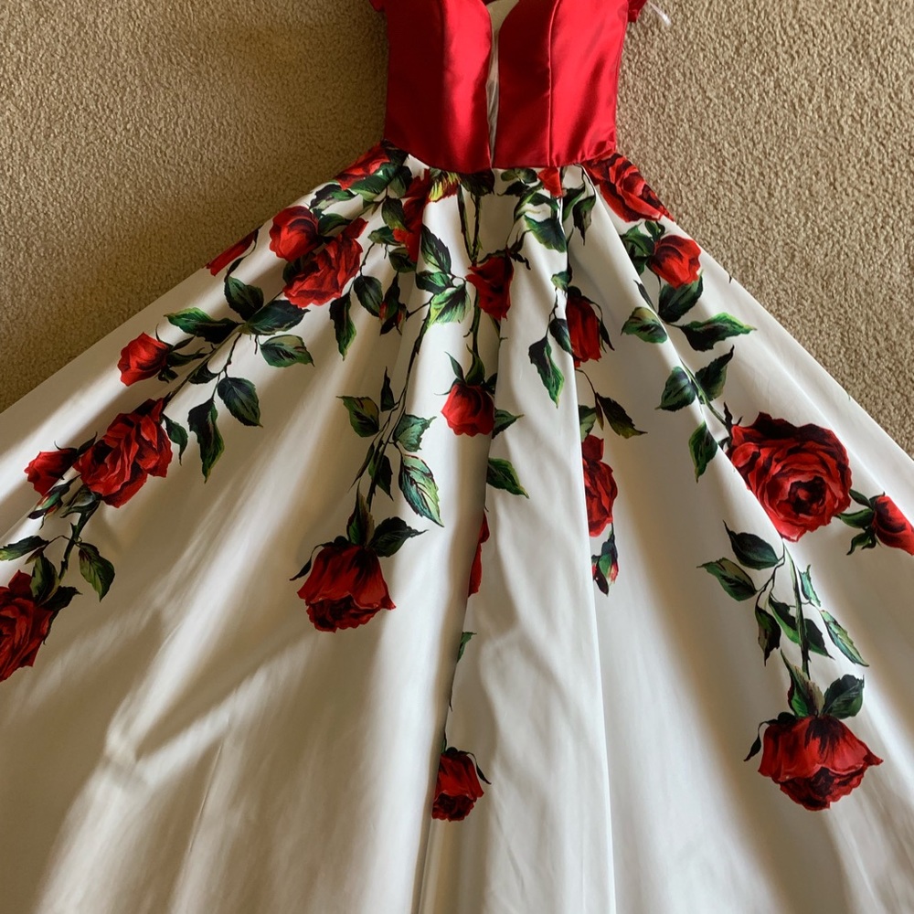 Prom Dress - Picture 4 of 8